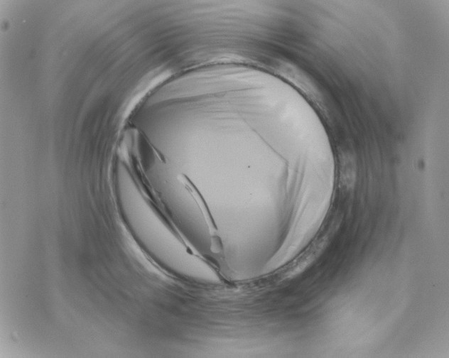 X0000071330806200607212006