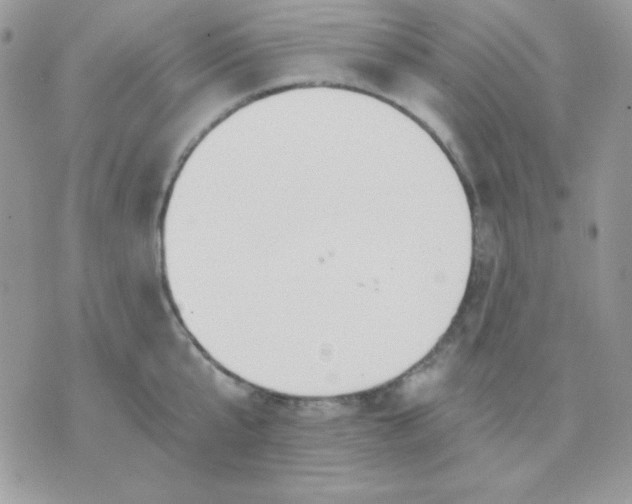 X0000071330807200607212005