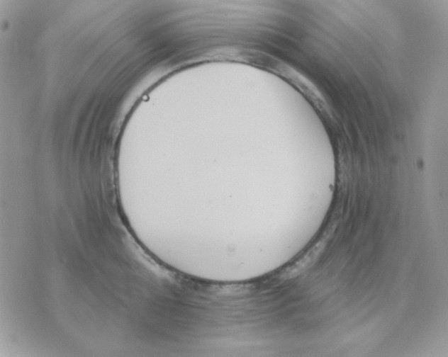 X0000071330808200607212005