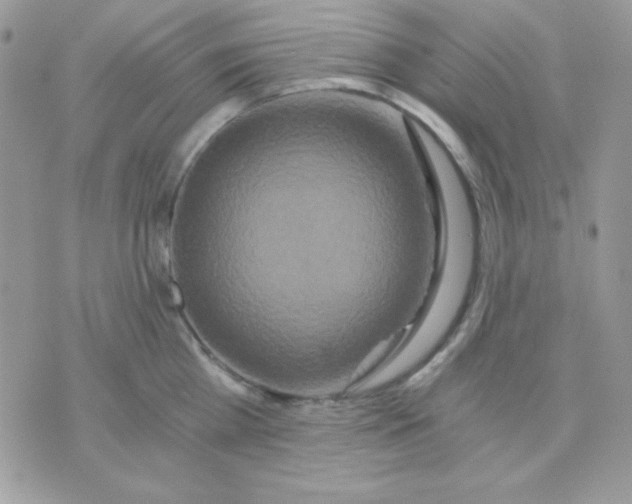 X0000071330809200607212005