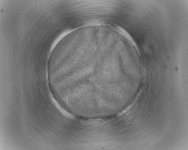 X0000071330811200607212005