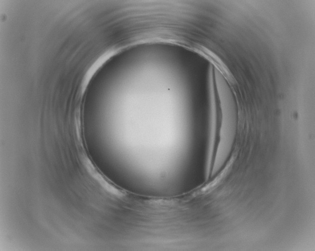 X0000071330812200607212005