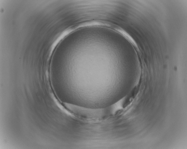 X0000071330813200607212005