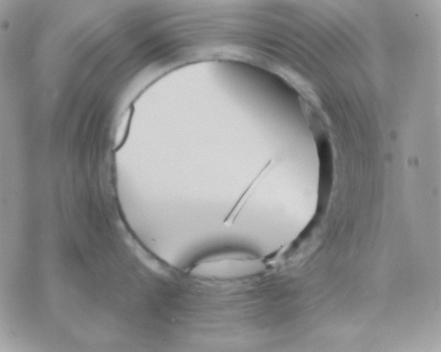 X0000071330816200607212005