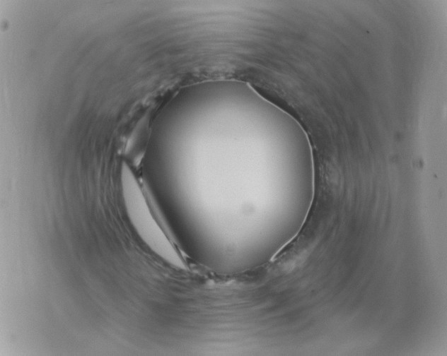 X0000071330818200607212005