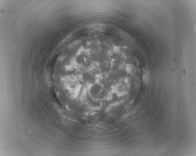 X0000071330819200607212005