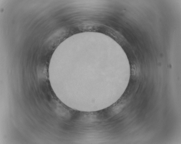 X0000071330820200607212005