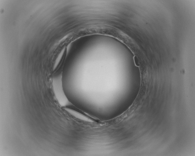 X0000071330822200607212005