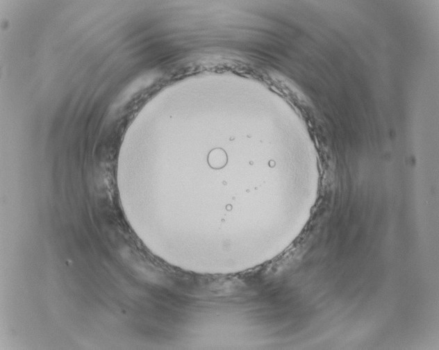 X0000071330824200607212005