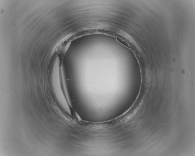 X0000071330826200607212005