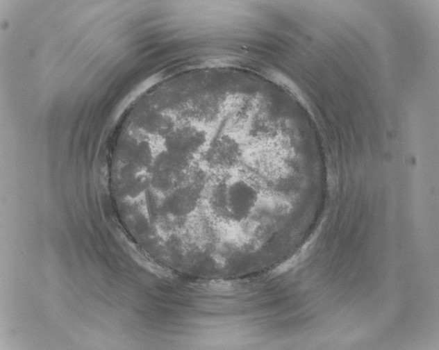 X0000071330827200607212005