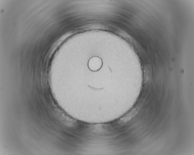 X0000071330828200607212005