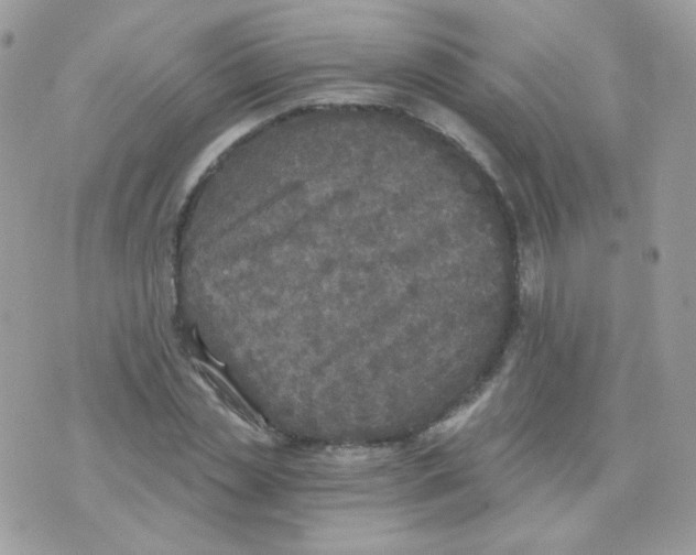 X0000071330829200607212005