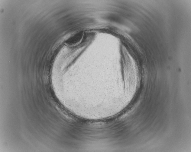 X0000071330833200607212005