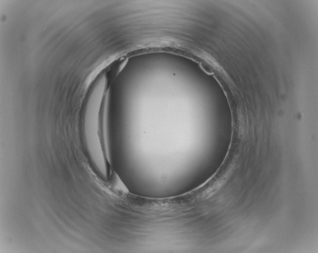 X0000071330834200607212005