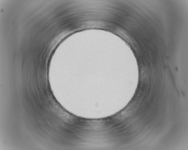 X0000071330836200607212005