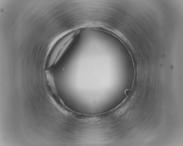 X0000071330838200607212005