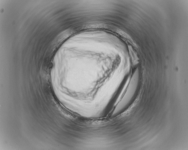 X0000071330841200607212005