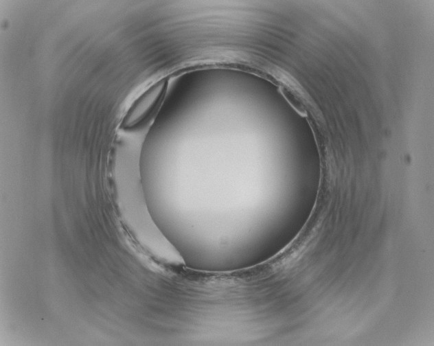 X0000071330842200607212005