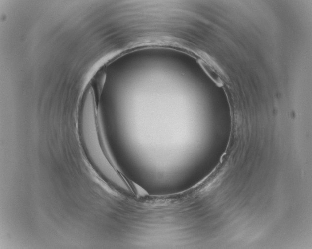 X0000071330846200607212005