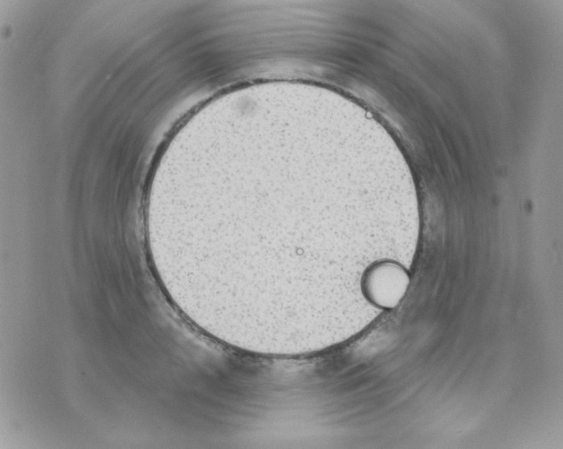 X0000071330848200607212005