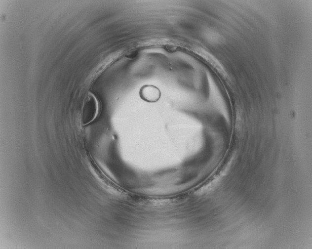 X0000071330849200607212005