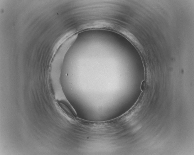 X0000071330850200607212005