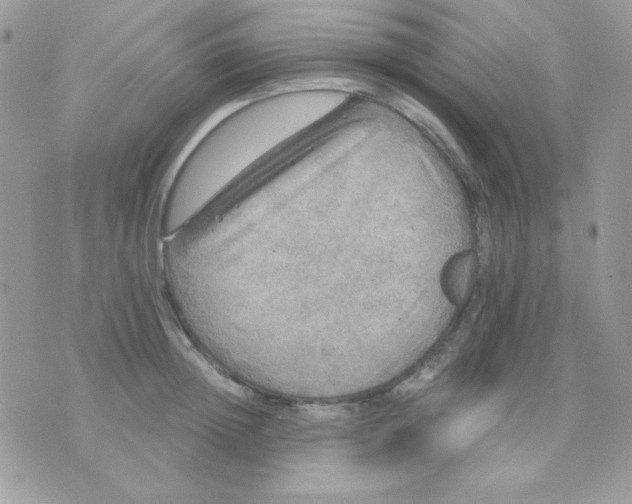 X0000071330852200607212005