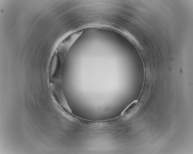 X0000071330854200607212005