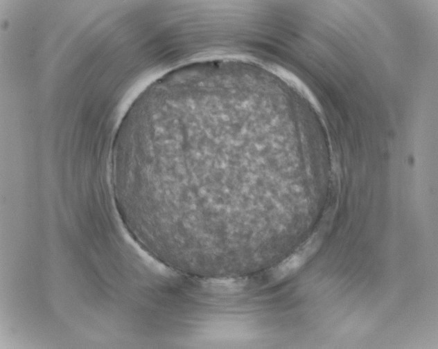 X0000071330855200607212005