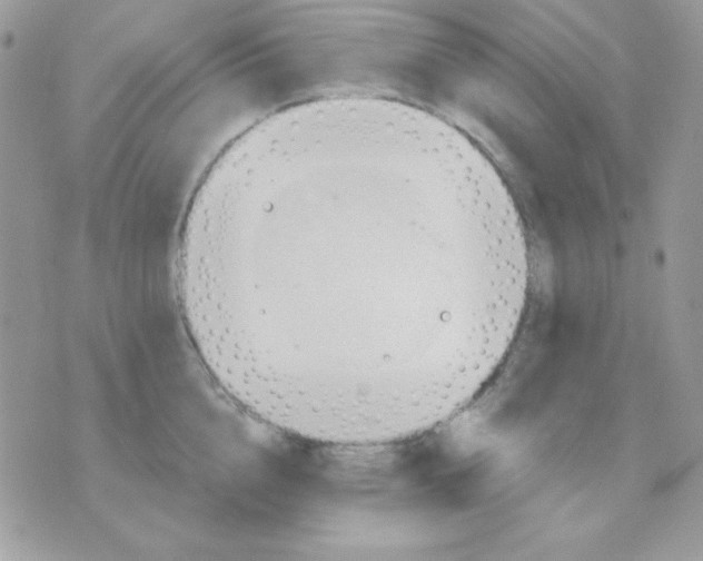 X0000071330856200607212005