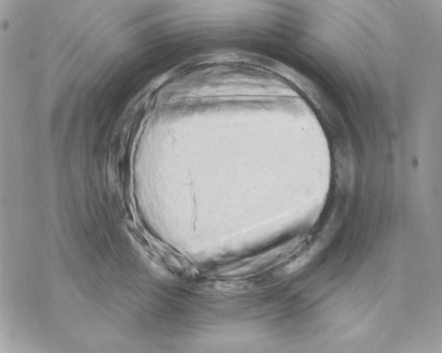 X0000071330857200607212005