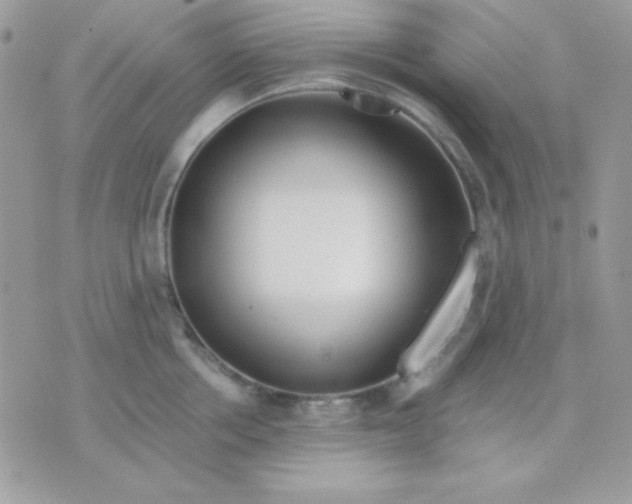 X0000071330858200607212005