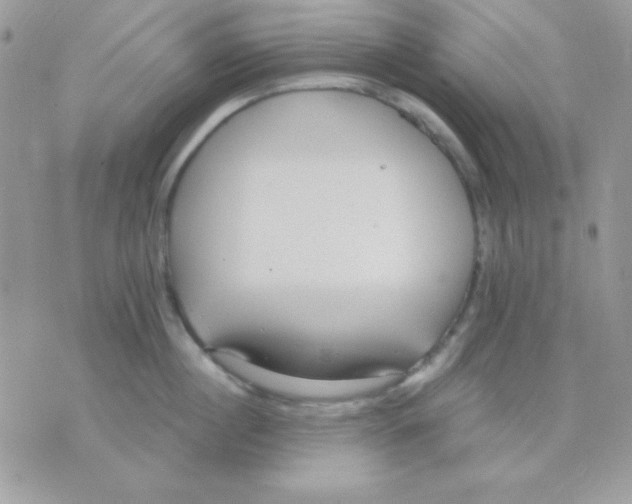 X0000071330860200607212005