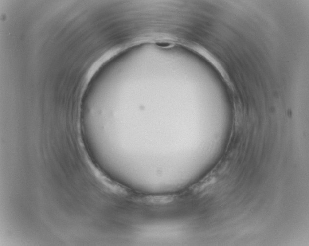 X0000071330861200607212005