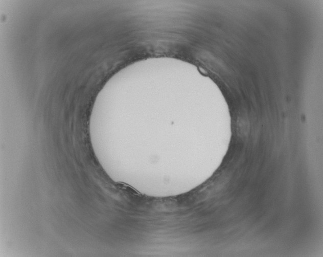 X0000071330865200607212005