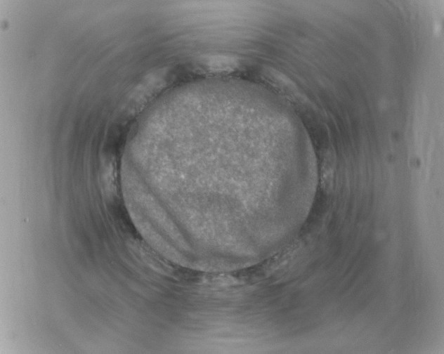 X0000071330866200607212005