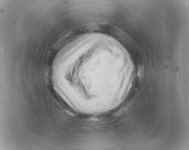 X0000071330867200607212005