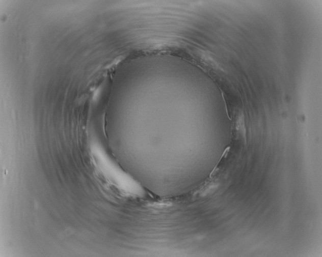 X0000071330868200607212005