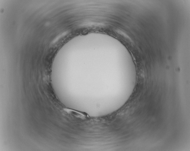 X0000071330869200607212004