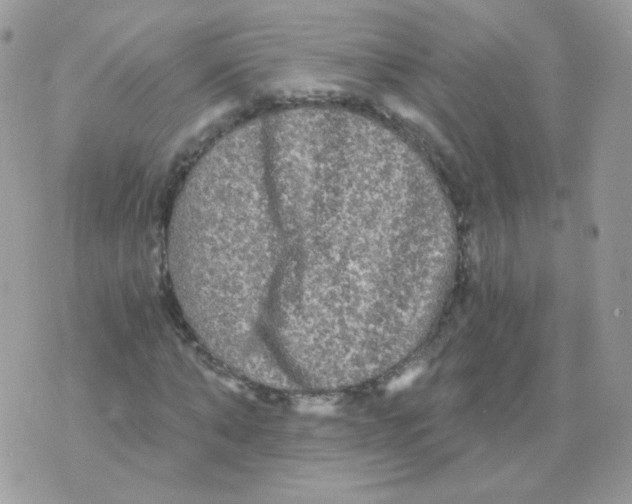 X0000071330870200607212004