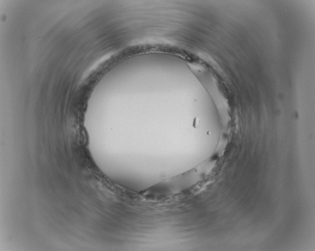 X0000071330872200607212004