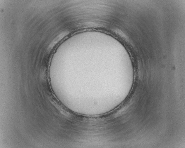 X0000071330873200607212004