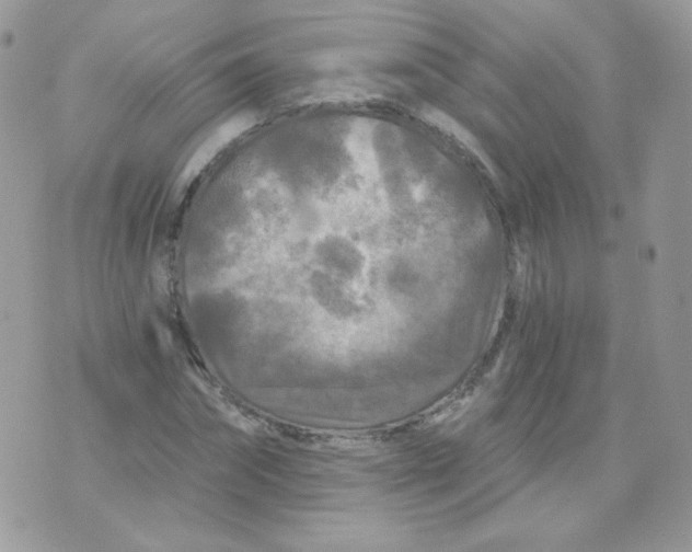 X0000071330874200607212004