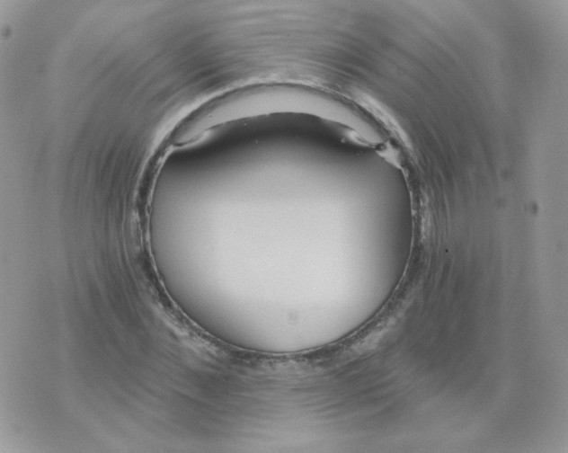 X0000071330876200607212004