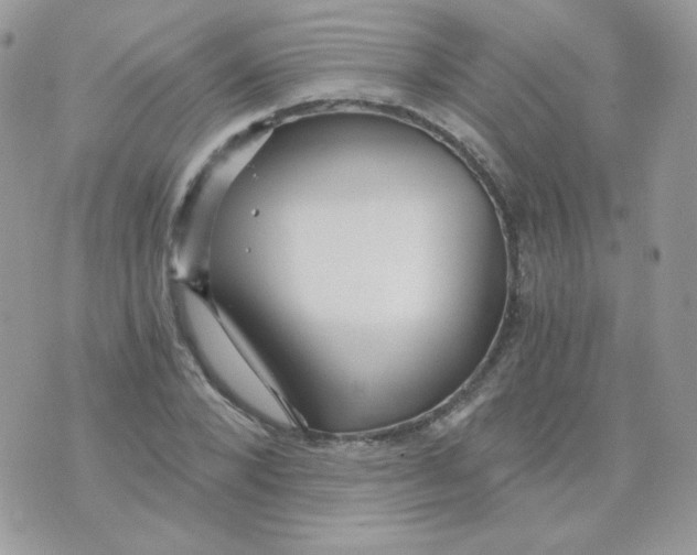 X0000071330880200607212004