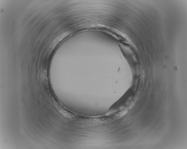 X0000071330881200607212004