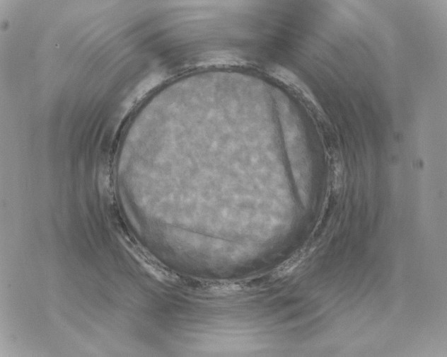 X0000071330882200607212004