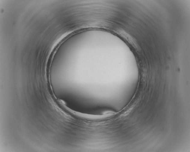 X0000071330884200607212004