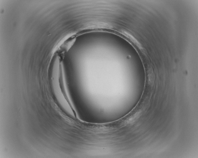 X0000071330885200607212004